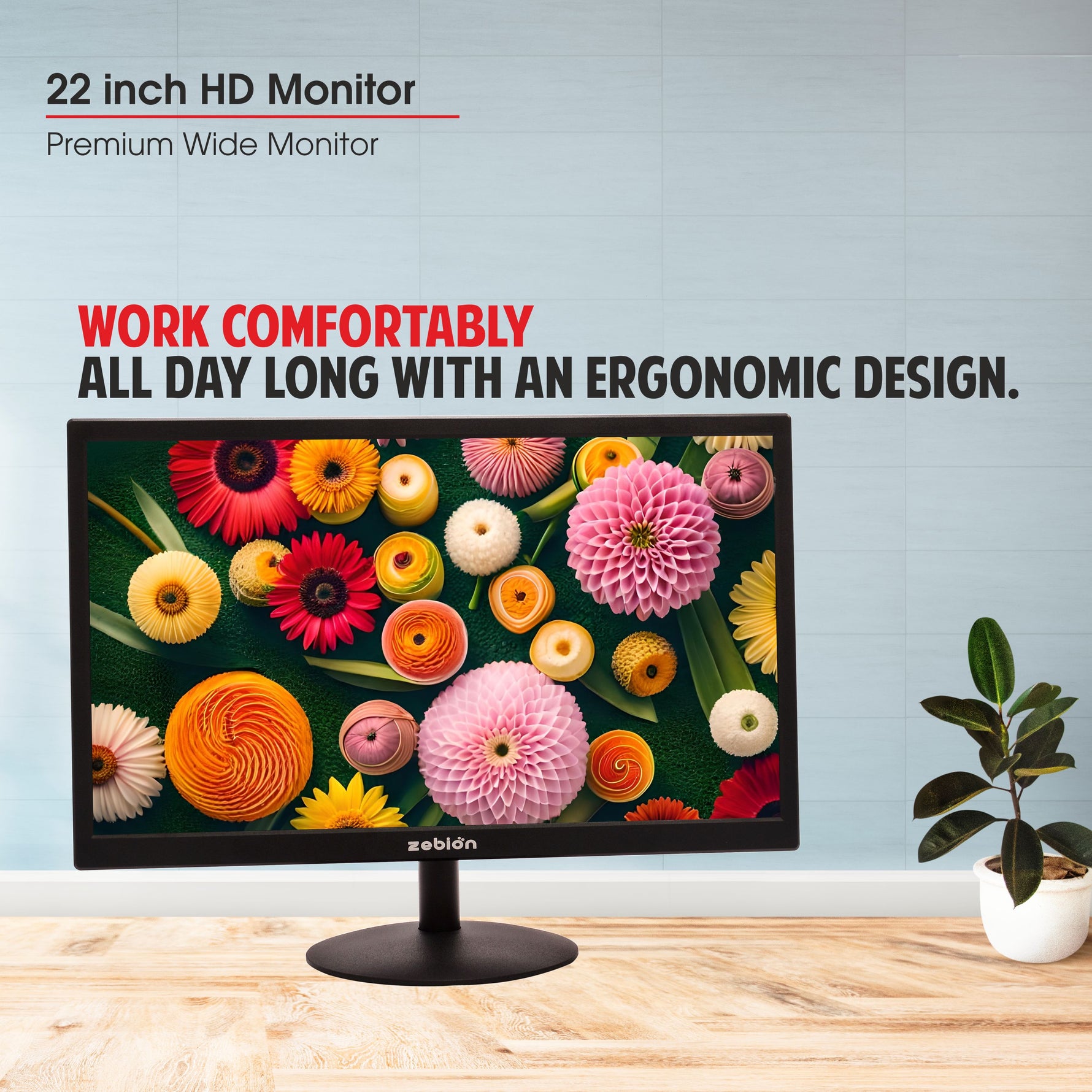 Zebion 22 INCHES HD LED Monitor