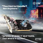 EVM GT730 4GB NVIDIA Graphics Card