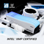 Kingston Fury Beast DDR4 RGB Special Edition Memory 8GB 3200MT/s DDR4 CL16 DIMM White RGB SE